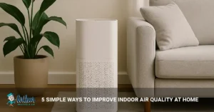 indoor air quality